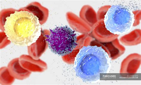 3d Illustration Of White Blood Cells Leukocytes Secreting Antibodies In