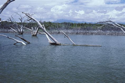 If the monsoon season is a letdown, the water could reach the lowest percentage in carlson said 2019 had a good year with the runoff from snow and rain, but the drought is hurting the water levels. Elephant Butte Reservoir (upper end) | From slide photo ...