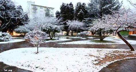 As imagens foram feitas no vale do cruzeiro em são joaquim. Abaixo de zero: cidades para ver neve no Brasil