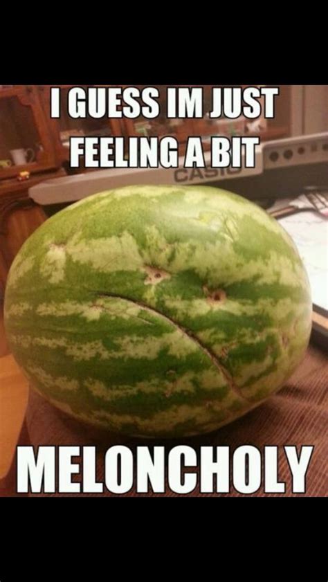 Melon Pun Vegetable Puns Puns Funny Memes Comebacks
