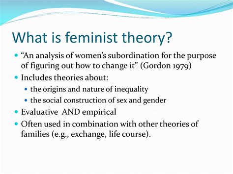 What Is Feminist Theory