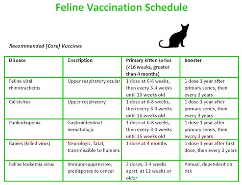 Animal Vaccination Services | Kindness Counts Spay Neuter Clinic