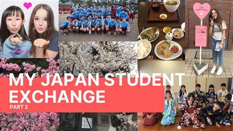 Japan Exchange Experience Part 2 Student Exchange Tips Going Home