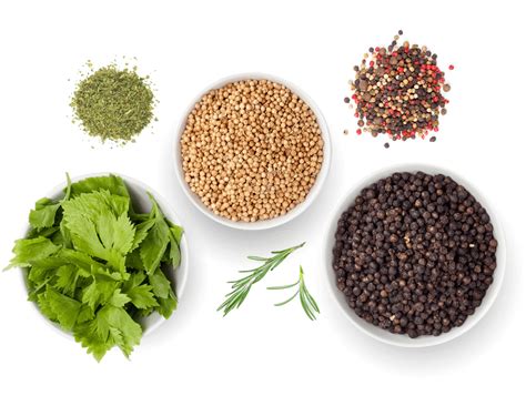 Check spelling or type a new query. Who We Serve | Essex Food Ingredients | Philadelphia, PA