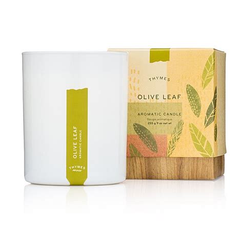 Thymes Olive Leaf Candle At Candle Delirium