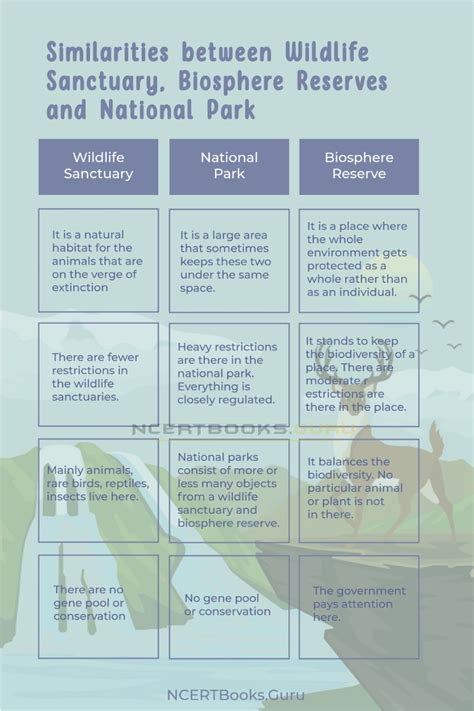 Differences Between Wildlife Sanctuary Biosphere Reserves And National