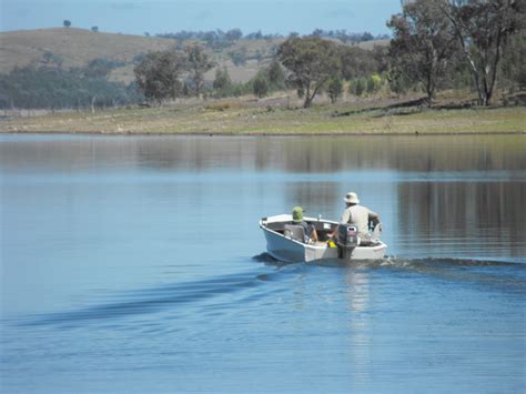 Banks are prime habitat for native fish such as cod and golden perch at glenlyon dam. Lose one's footing