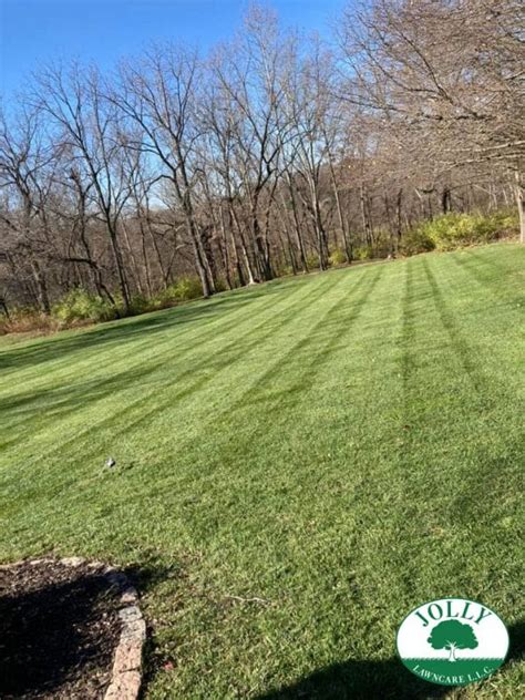 Have Your Lawn Beautifully Stripped With Mowing Lines Every Time