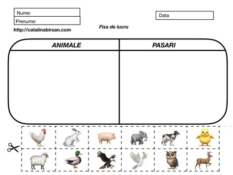 Fișe De Lucru Decupează și Lipește în Căsuța Potrivită Animale