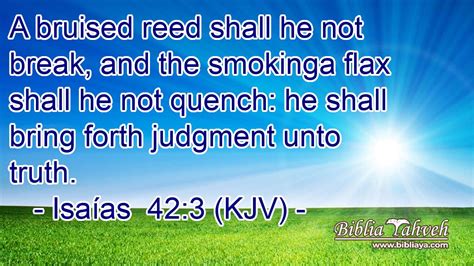 Isaías 423 Kjv A Bruised Reed Shall He Not Break And The S