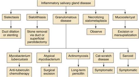 Salivary Gland Disease In Children Ento Key