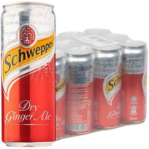 Schweppes Dry Ginger Ale 320ml X 24 Wine Not Hkg