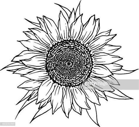 Maybe you would like to learn more about one of these? Image result for Traceable Sunflower Pattern | Sunflower ...