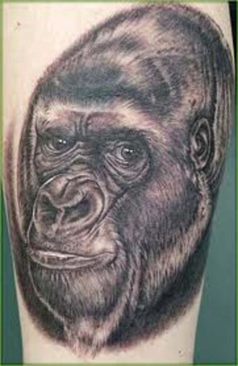 Gorilla tattoo 100 gorilla tattoo designs for men great ape ideas. GORILLA TATTOOS AND DESIGNS-GORILLA TATTOO MEANINGS AND ...