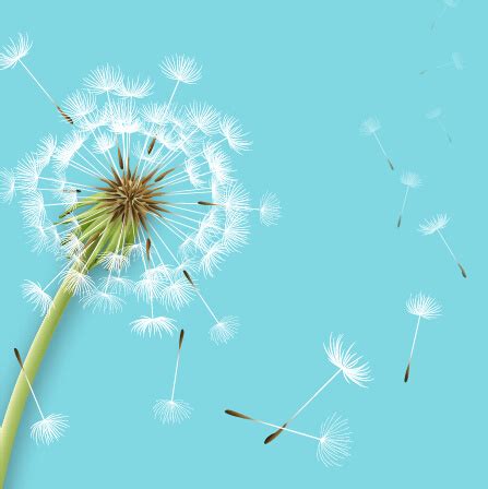The image is 580.07kb and can be used for any creative project as soon as you have downloaded it. Dandelion free vector download (91 Free vector) for ...