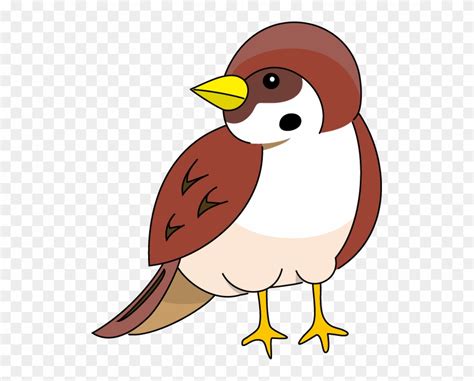 Clipart Sparrow 20 Free Cliparts Download Images On Clipground 2024