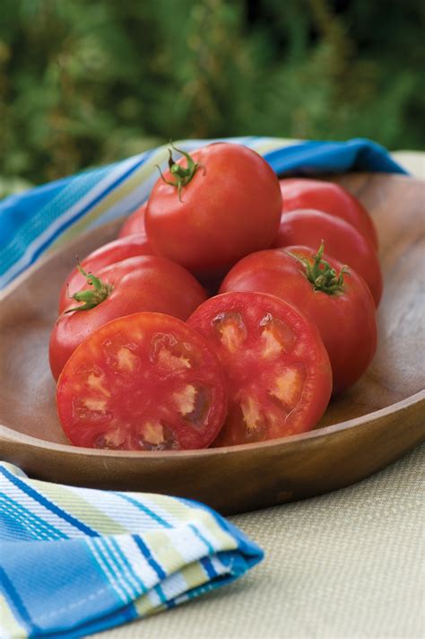 Tomato 'Sweet Seedless' | Garden Housecalls