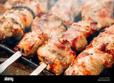 Grilled Marinated Caucasus Barbecue Meat Shashlik Shish Kebab Pork