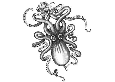 Steven Noble Illustrations: Kraken Rum