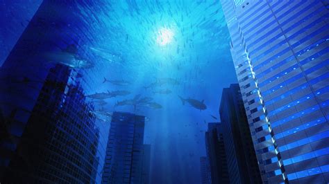 Underwater Wallpapers Hd Pixelstalk Net