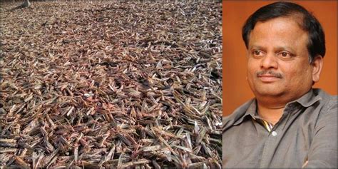 Join facebook to connect with v k anand and others you may know. K.V. Anand reveals how he predicted locust attacks in ...