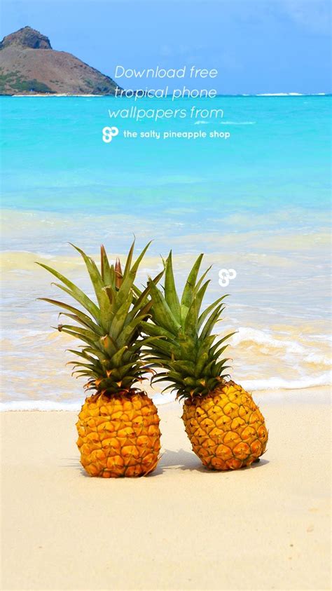 Pineapple Beaches The Salty Pineapple Shop Download 60 Free