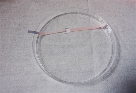 Litmus paper is made when a piece of thin paper is coated by organic dyes that are sensitive to changes in 1 dipping litmus paper in liquid. Made Up Curiosity: The Litmus Paper Experiment