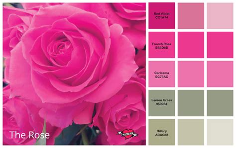 Professional Color Palettes The Colors Of Nature Bettes Makes