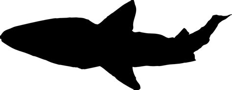 Clipart Shark Silhouette Clipart Shark Silhouette Transparent Free For