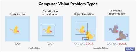 Object Detection Image Classification Keypoint Detection