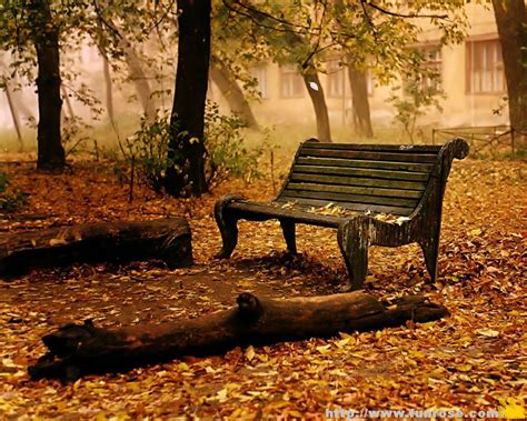 Autumn Wallpapers Free Images Fun