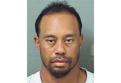 tiger woods arrested and released on dui charge see his mug shot black america web
