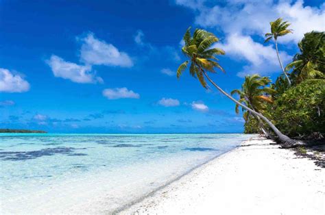 Discover Zika Free South Pacific Islands Easy Planet Travel