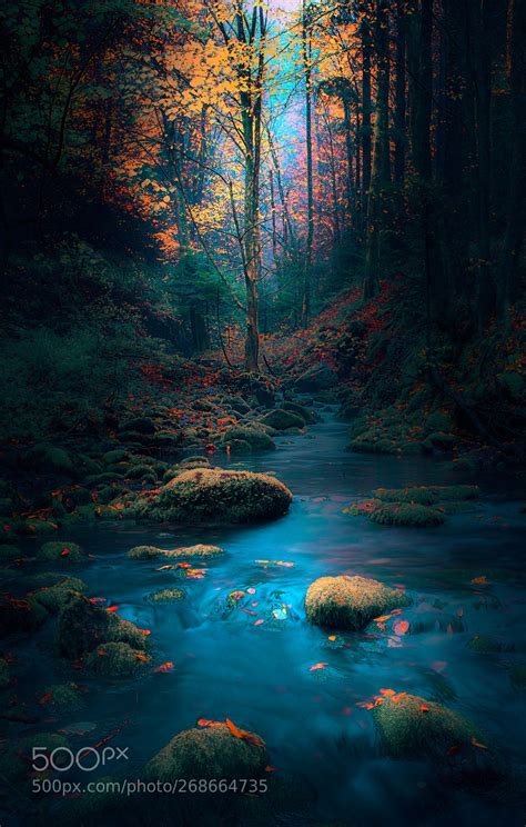 Forest Scene By Sejmenovicmevludin With Images Beautiful Landscape