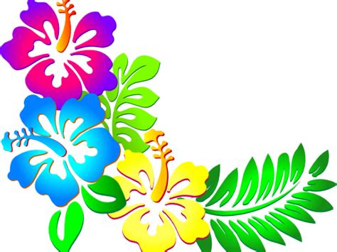 Hibiscus Clipart Png Tumblr Imagenes De Flores Hawaianas 640x480