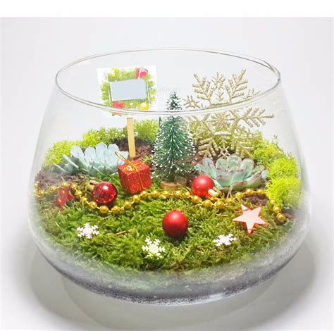 Check spelling or type a new query. Luxury Terrarium Gifts For Christmas #2019christmas # ...