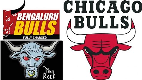 Which Bulls Logo Is Most Worthy Bengaluru Bulls Chicago