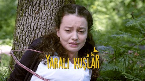 Urmareste Serialul Turcesc Pasari Ranite Episodul 53 Online Subtitrat