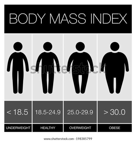 Body Mass Index Infographic Icons Vector Stock Vector Royalty Free