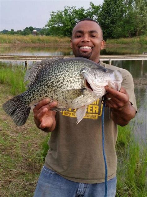 New State And World Record Black Crappie Caught By Loudon County Angler