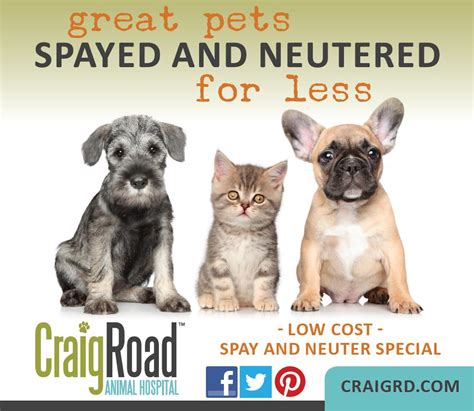 Our veterinarians are experts and specialize in spay and neuter surgeries. Low Cost Spay & Neuter in Las Vegas