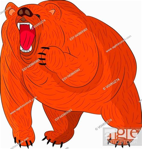 Angry Grizzly Bear Brown Growls Cartoon On White Backgroundvector