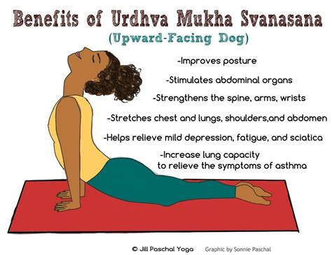 Benefits Of Upward Facing Dog Yoga Inspo Upward Facing Dog Yoga