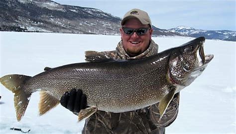 Thousands of fish can be dropped in a single flight into water that is inaccessible to other forms of transport. Moon Lake Utah Fishing Report - Unique Fish Photo