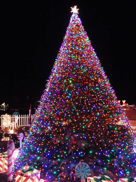 11 Awesome And Dazzling Christmas Tree Lights Ideas  Awesome 11