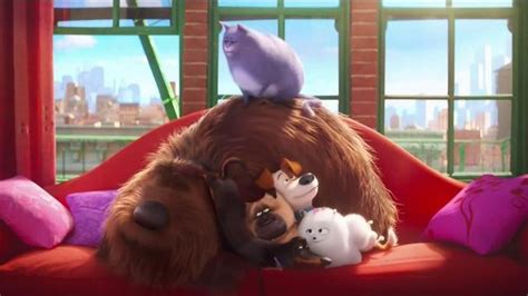 Mcdonald S Happy Meal Tv Spot The Secret Life Of Pets Where Do They