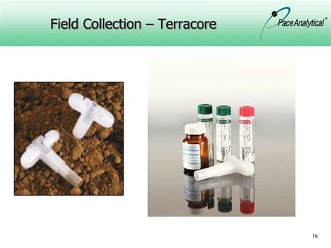 3.3.2 collection care, preservation and conservation programs support and contribute to the functions of the museum as outlined in the act and facilitate planning should include an understanding of the implications of such compromises and the preparation of options to minimise any risks flowing from. PPT - Field Sampling Considerations A Laboratory ...