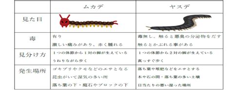 身近な生活害虫とは何だろう？ 千葉の害虫駆除は株式会社qujolia