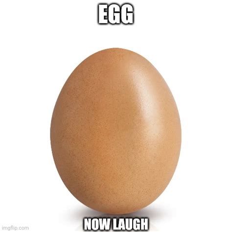 Image Tagged In Eggseggmemesfunny Memes Imgflip