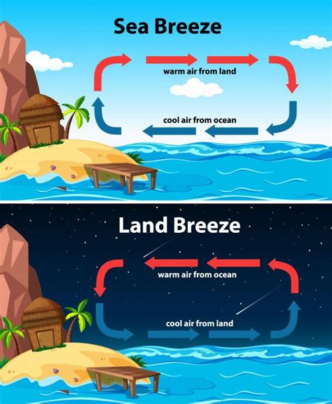We did not find results for: Download Diagram Showing Sea And Land Breeze for free in 2020 | Vector free, School worksheets ...